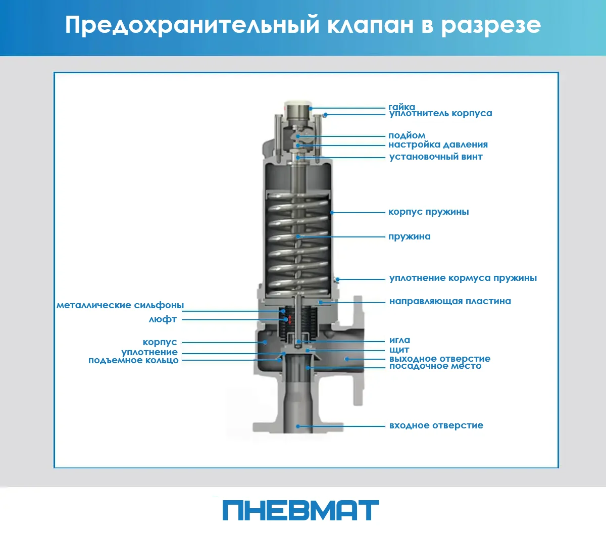 Схематический поперечный разрез предохранительного клапана с подписями элементов: корпус, пружина, уплотнение, подъемное кольцо, сильфоны, входное и выходное отверстия