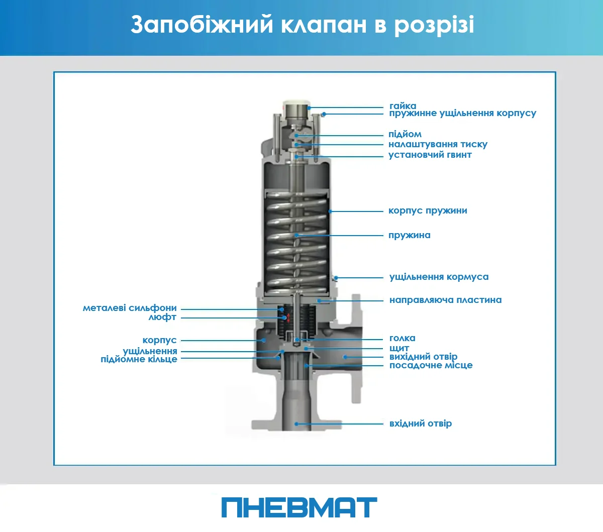 Схематичний поперечний розріз запобіжного клапана з підписаними елементами: корпус, пружина, ущільнення, підйомне кільце, сільфони, вхідний та вихідний отвори