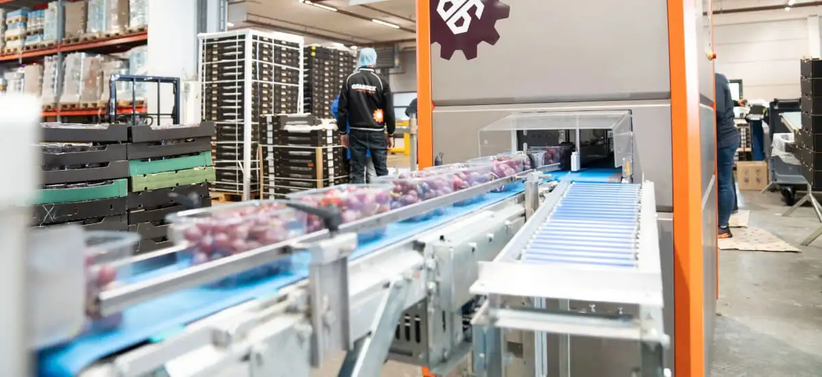 Лінія пакування харчових продуктів у модифікованому газовому середовищі (MAP) з використанням закону Дальтона.
